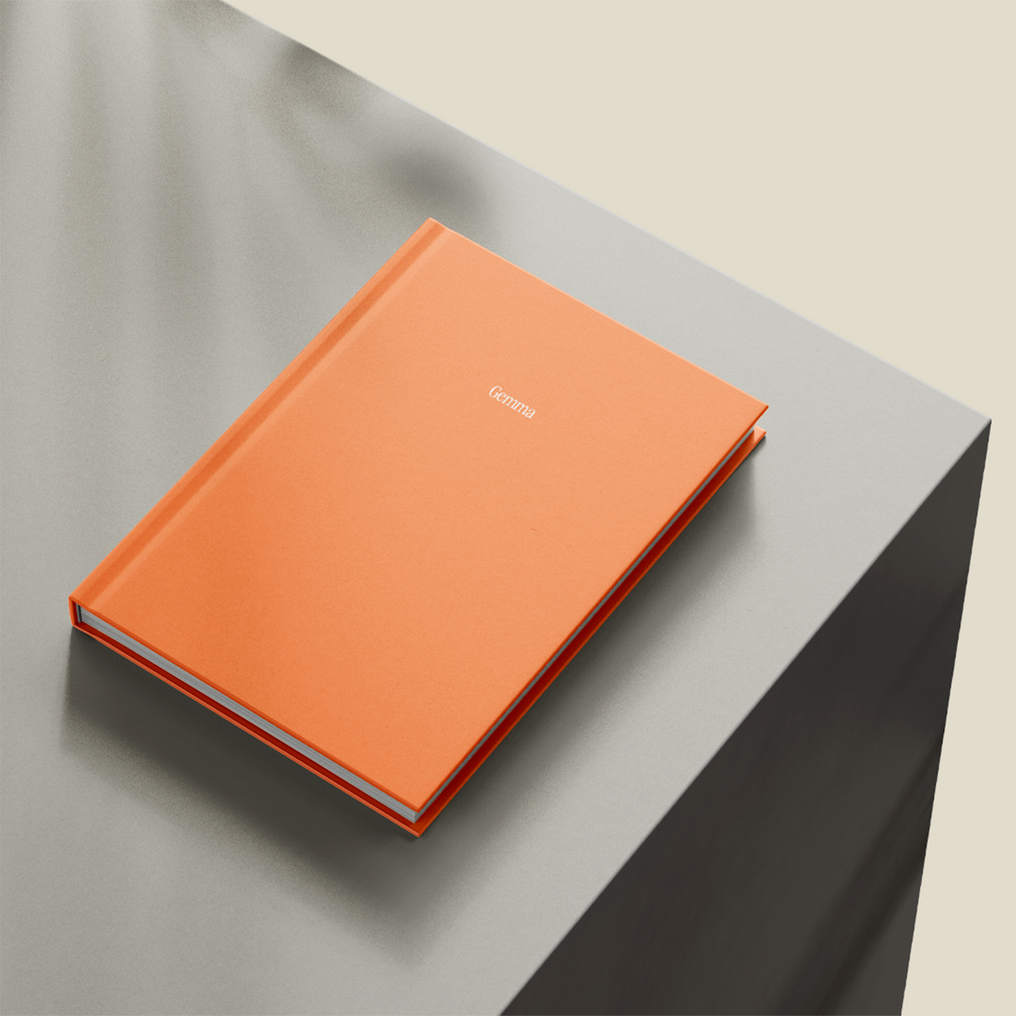 Personal Pantone Journal